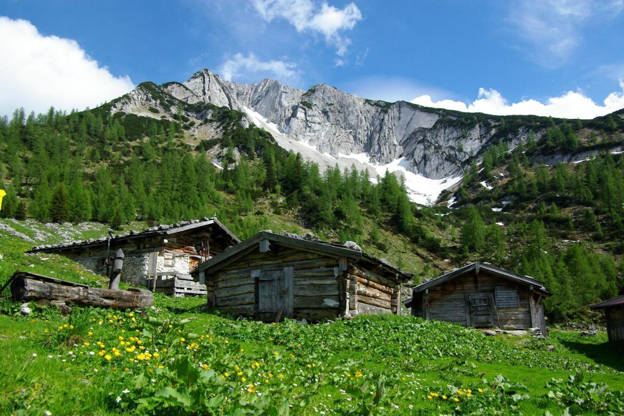 Appartamento Haus Bauer Pertisau Esterno foto